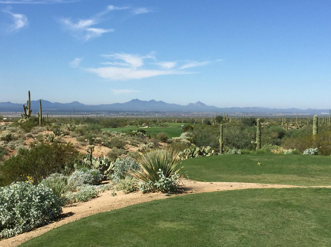 Ritz Carlton Golf Course Dove Mountain-马拉纳必去景点