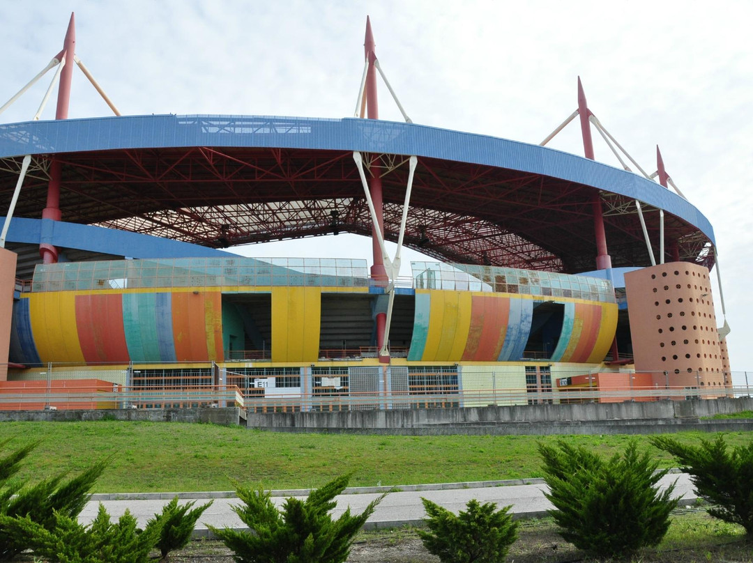 Estádio Municipal de Aveiro景点图片