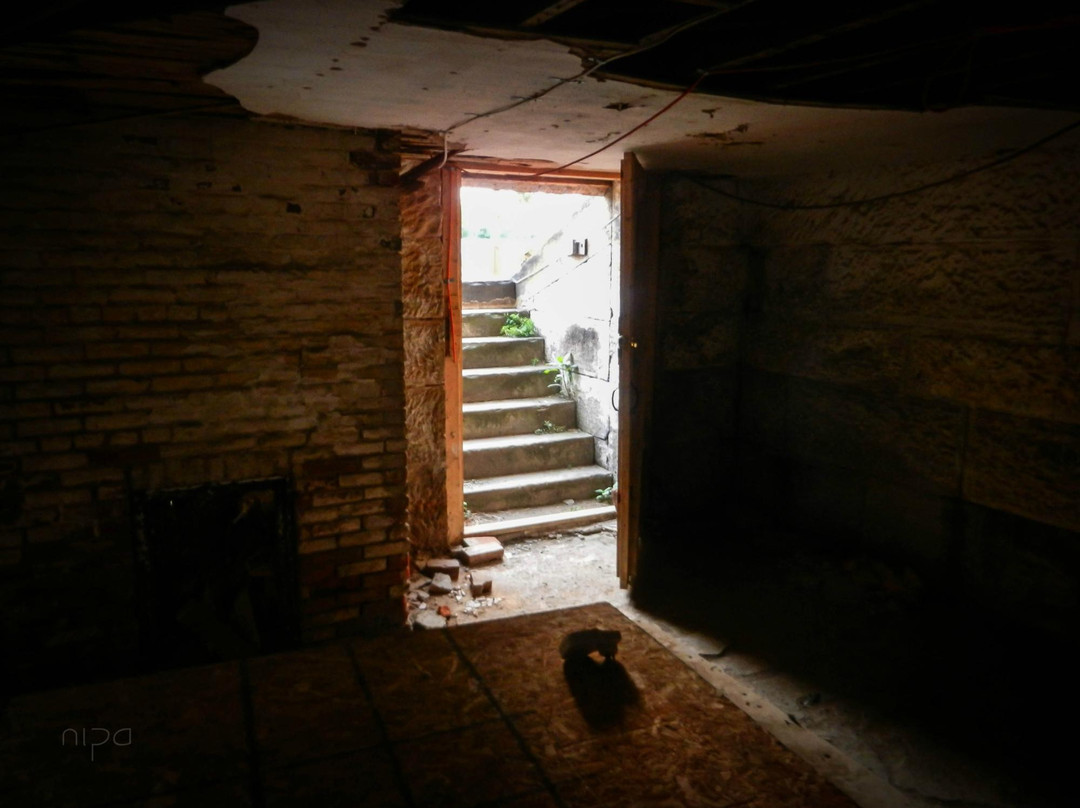 Prospect Place-Trinway必去景点