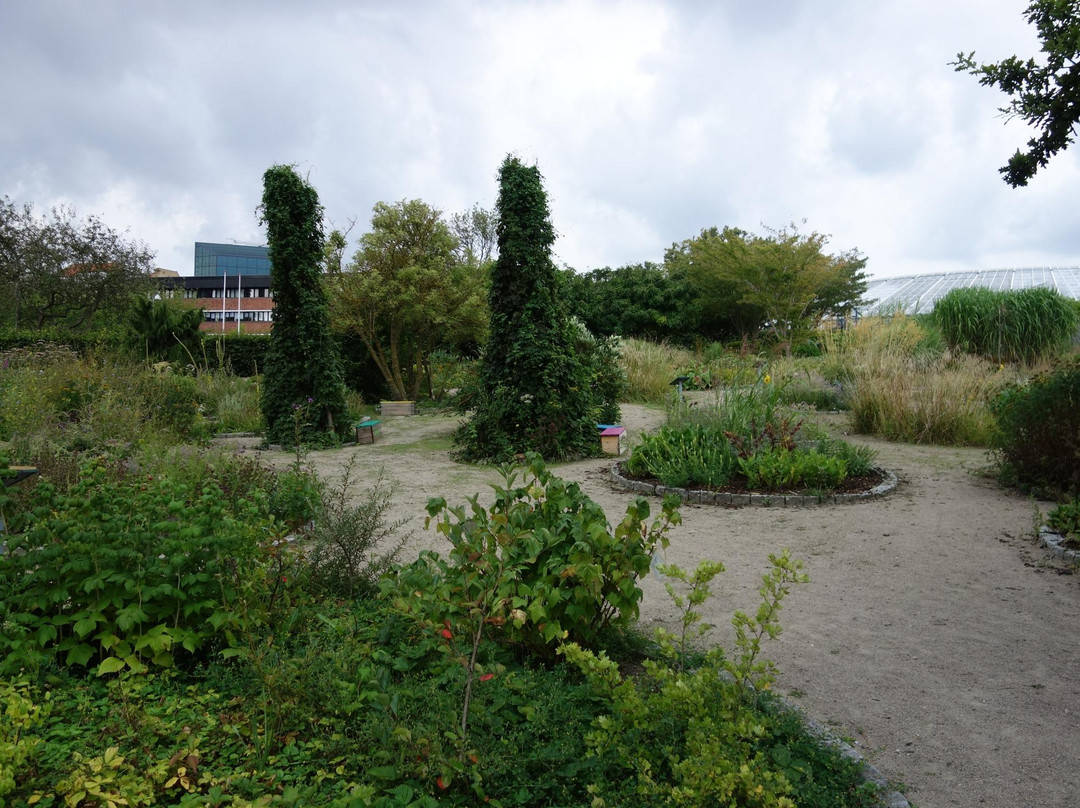 Botanical Garden and the Greenhouses景点图片