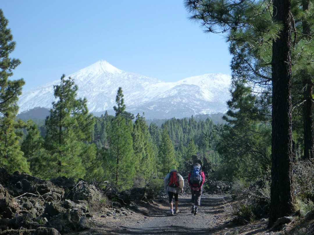 Trekking Tenerife -  Tours-Guia de Isora必去景点
