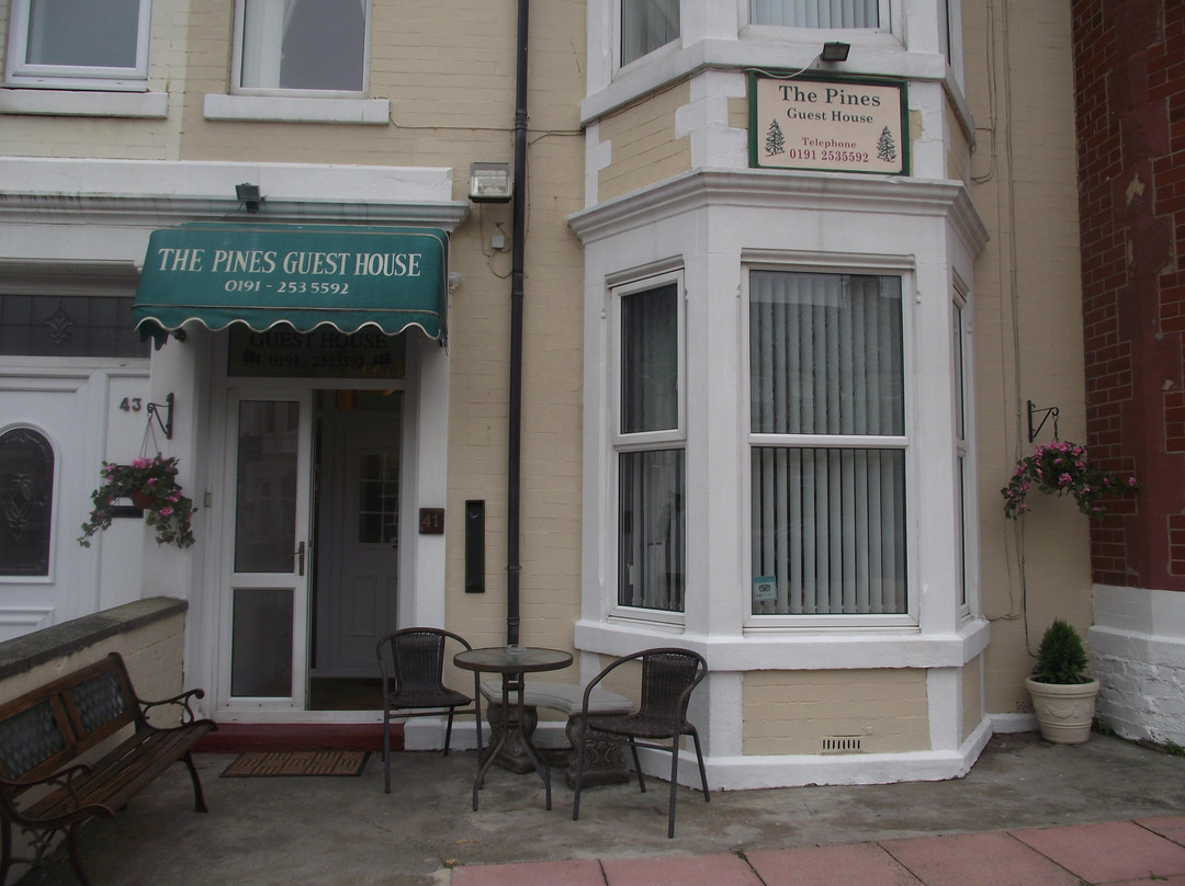 Seaton Sluice酒店住宿-The Pines Guest House