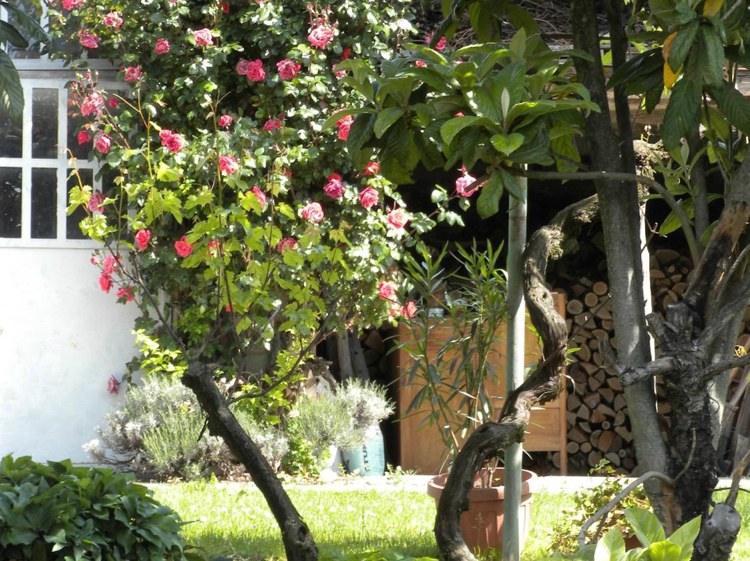 B&B I Peschi主图