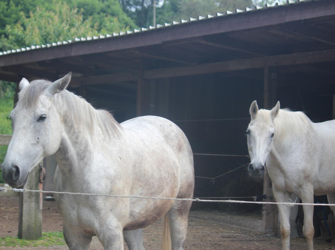 Gästehaus Kaltenbach主图