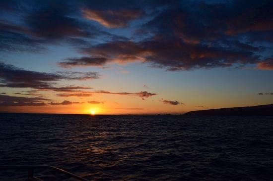 Capt Andy's-埃里埃利必去景点