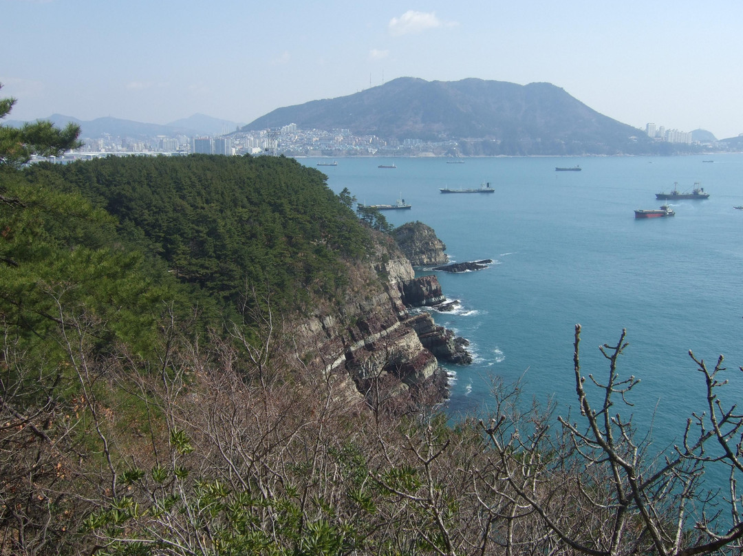 岩南公园-釜山必去景点
