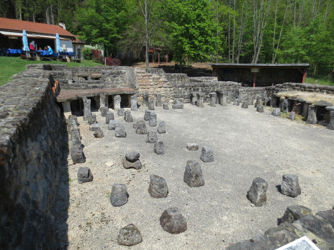 Roman Open Air Museum景点图片