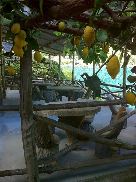 Amalfi Lemon景点图片