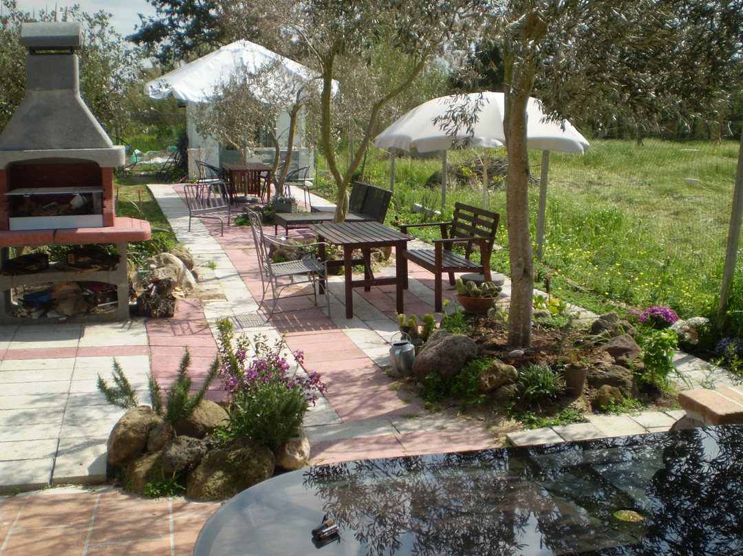 Il Giardino di Emilio主图