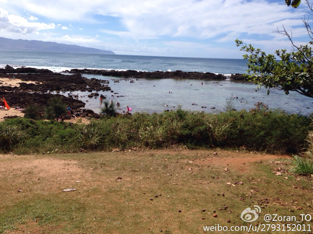 鲨鱼湾-Pupukea必去景点