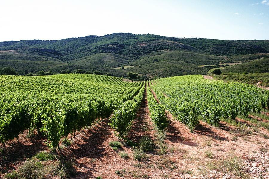 Clos de l'Amandaie-Aumelas必去景点