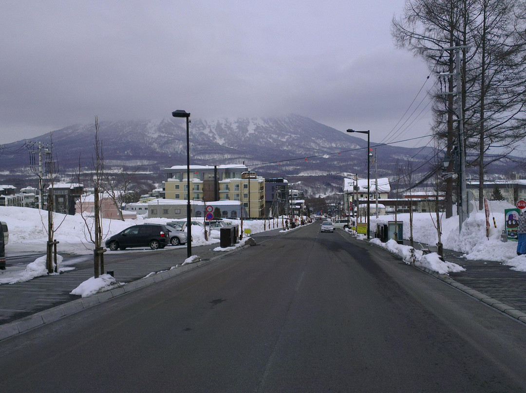 Niseko Tokyu Grand HIRAFU景点图片