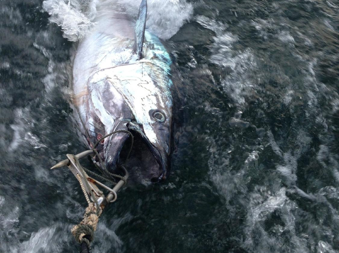 Island's End Tuna Charters -Private Day tours-Tignish必去景点