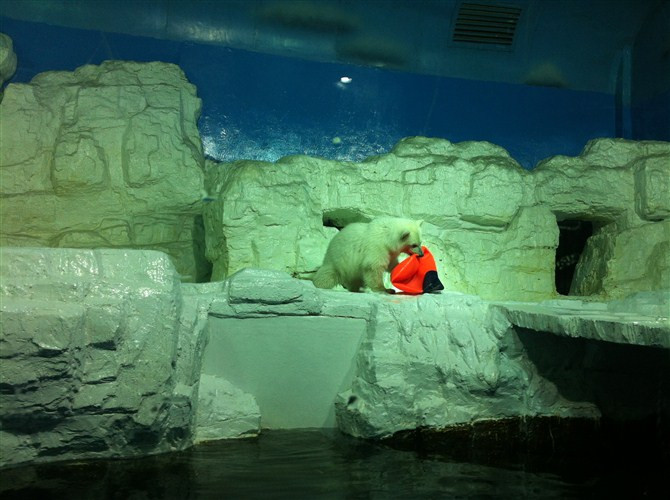 大连自然博物馆-大连市必去景点