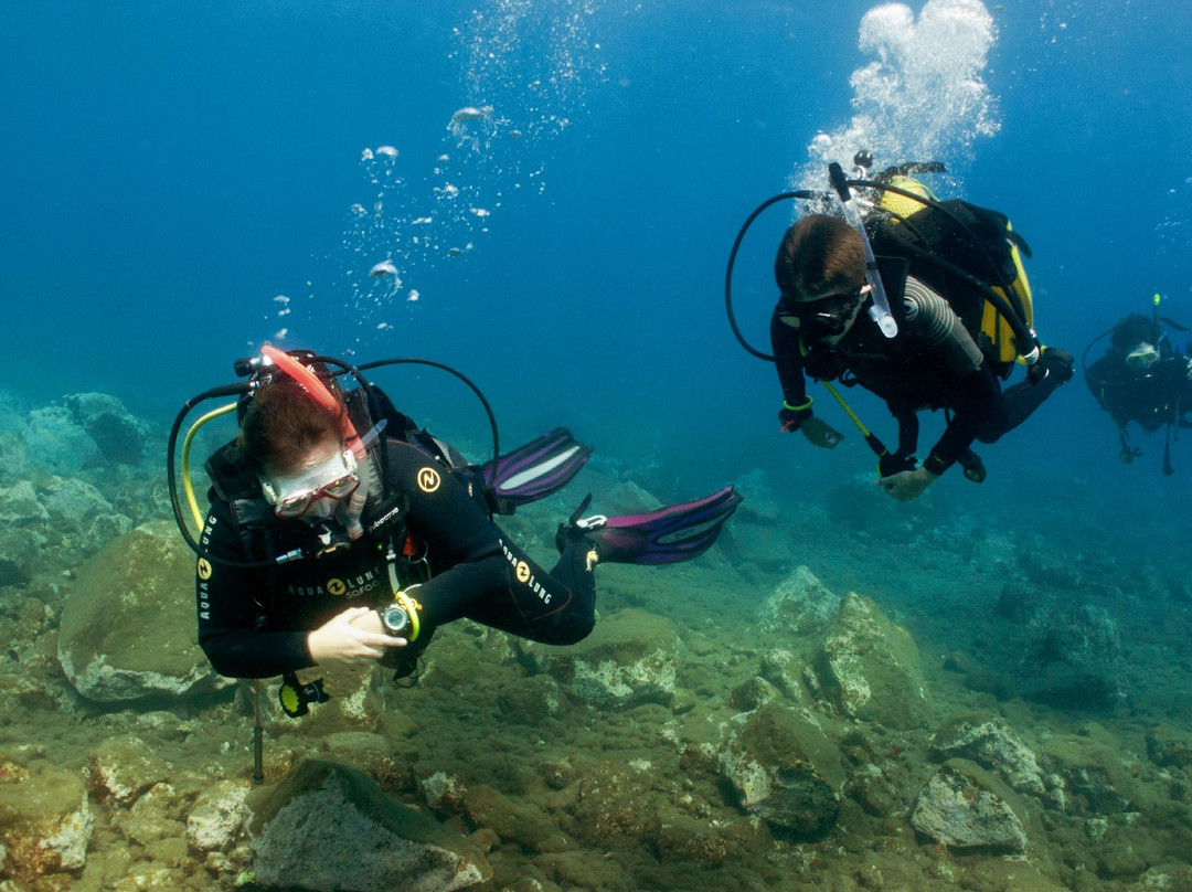 Amarilla Divers-Los Abrigos必去景点