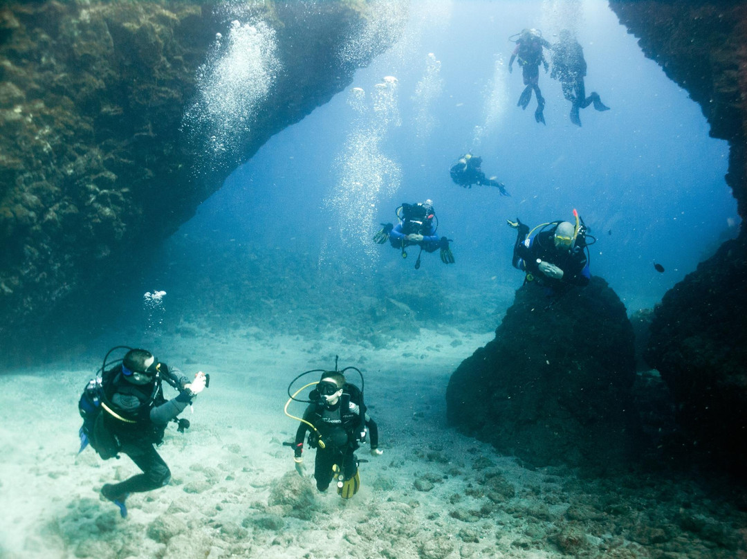 Amarilla Divers-Los Abrigos必去景点