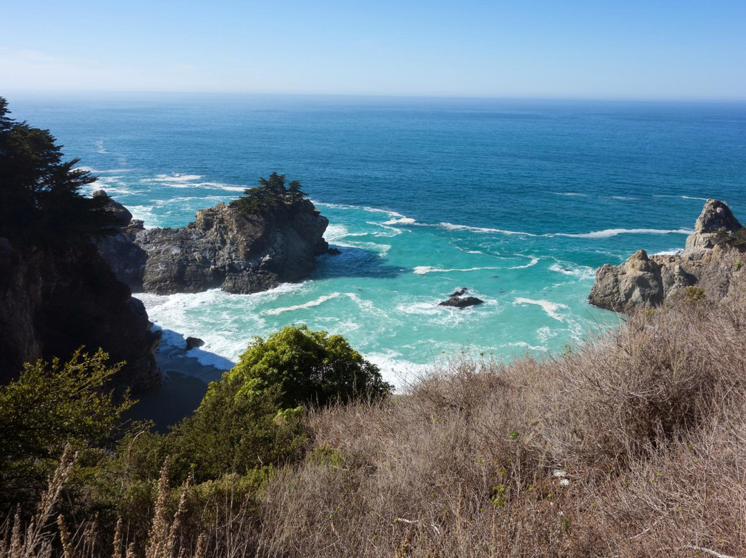 朱莉娅·菲佛·伯恩斯州立公园-大苏尔必去景点