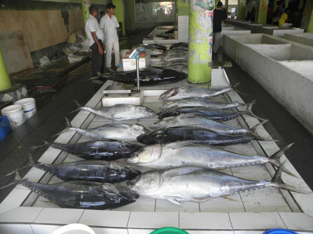 雄鱼市场-马累必去景点