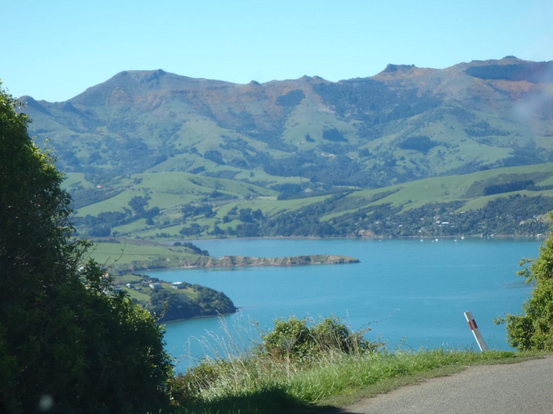Akaroa Shuttle景点图片