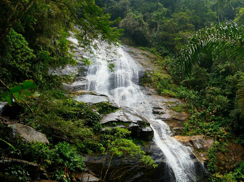 Jungle Me - Hiking and Trekking Ecotours-里约热内卢必去景点