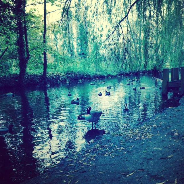 Waltham Abbey Gardens景点图片