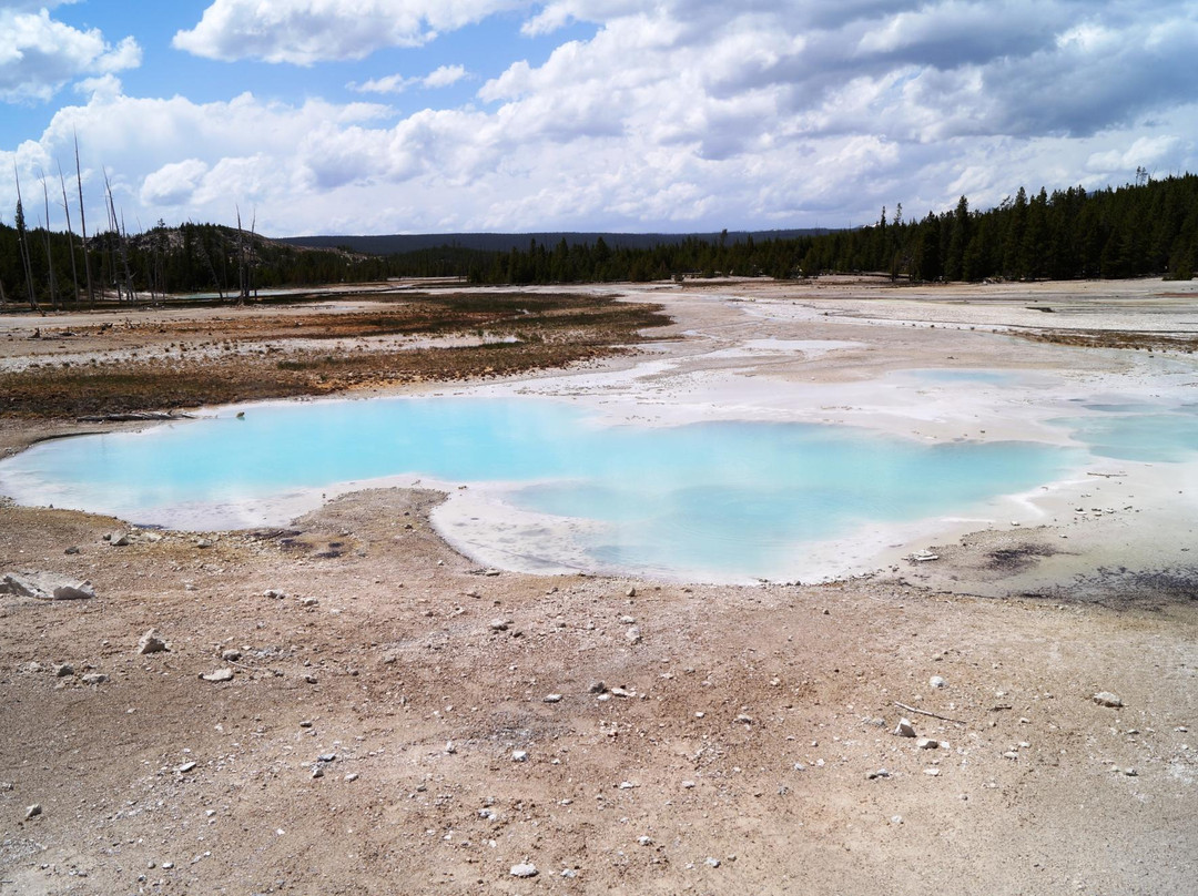 诺里斯间歇泉盆地-黄石国家公园必去景点