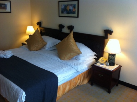 皇家大饭店-客卧