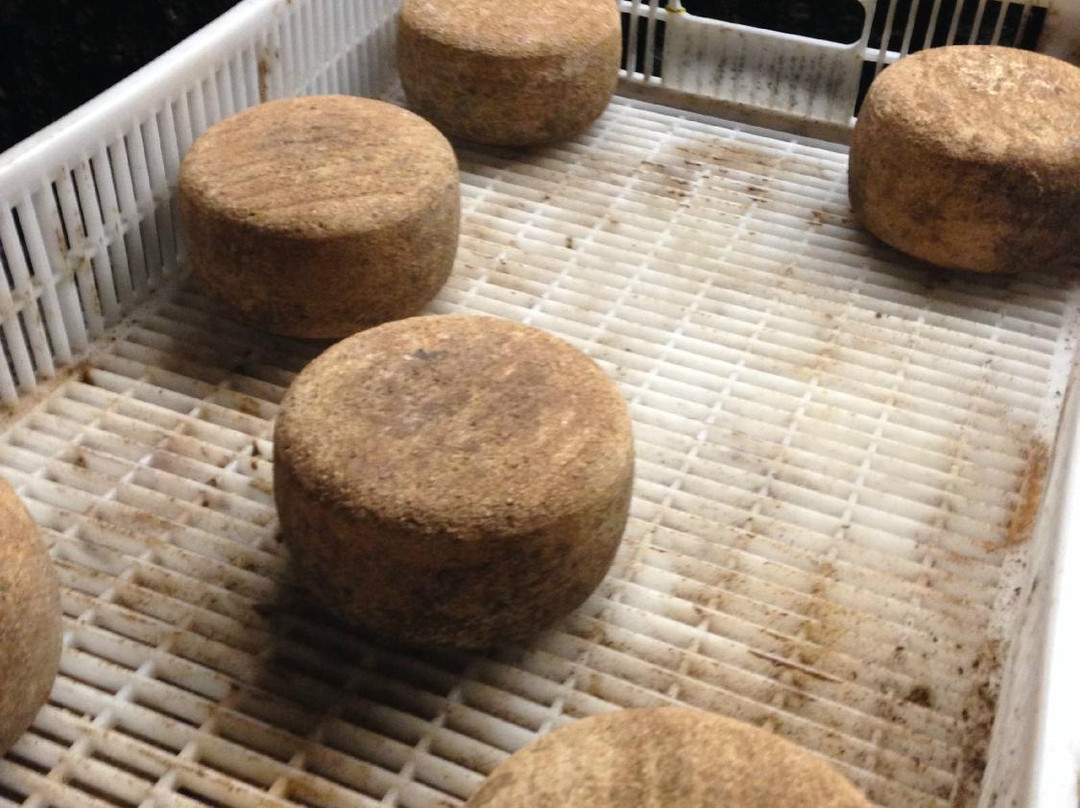 Azienda Agricola Monte Jugo-维泰博必去景点