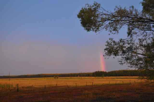 阿尔山国家森林公园-阿尔山市必去景点