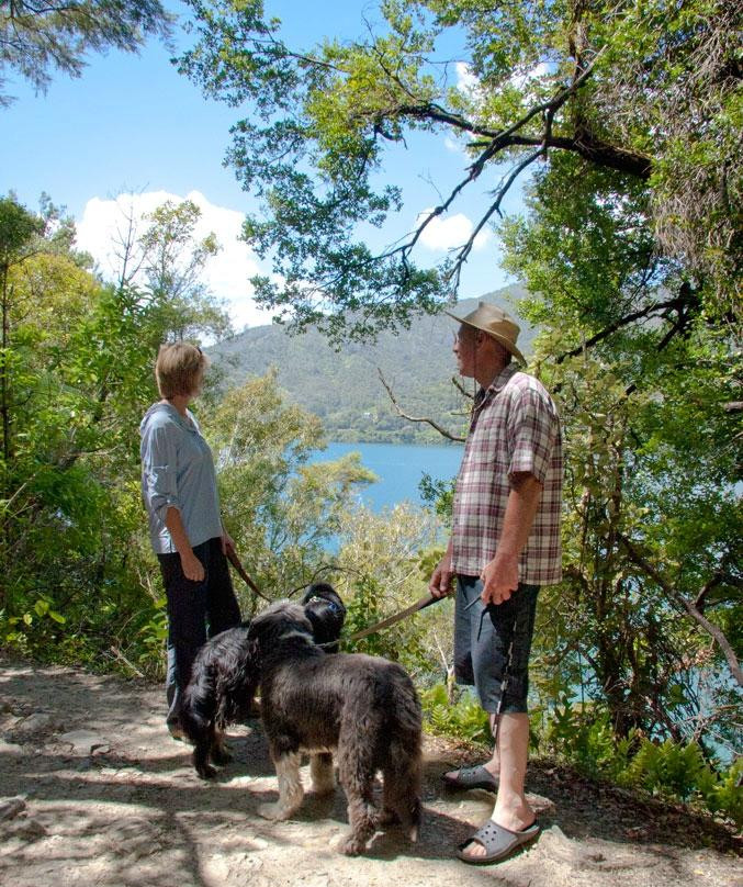 Davies Bay Campsite景点图片