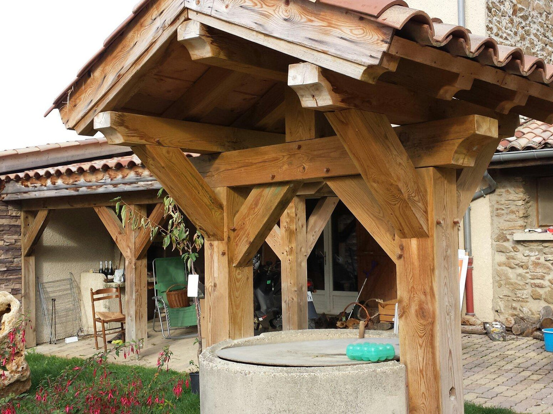 Saint-Romain-en-Gier餐馆和美食-Auberge de Prejeurin
