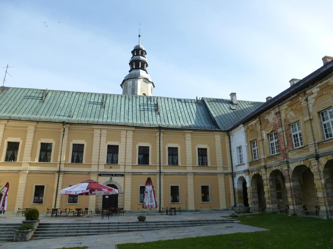 Zamek Międzylesie