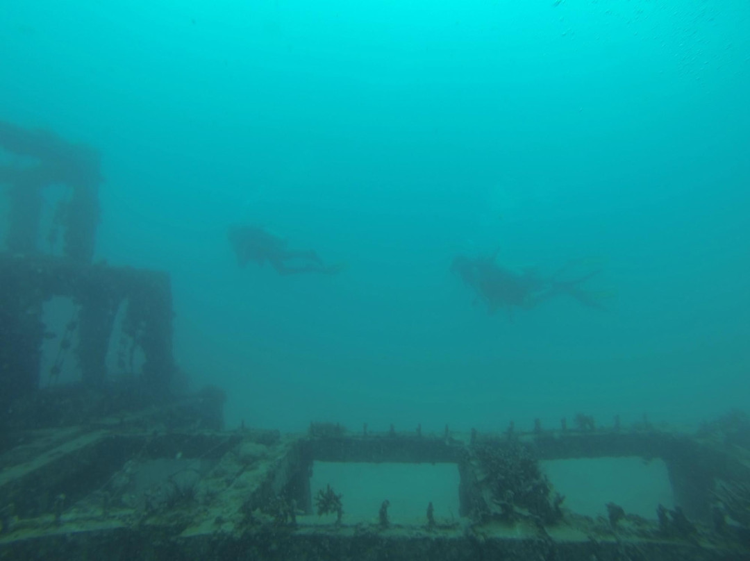 Phi Phi Sea Frog Diving-大皮皮岛必去景点