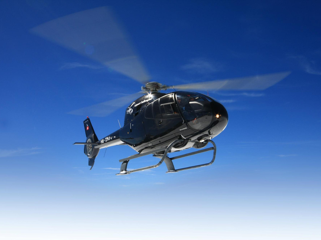 Helicopter Flight - Tours-巴登必去景点