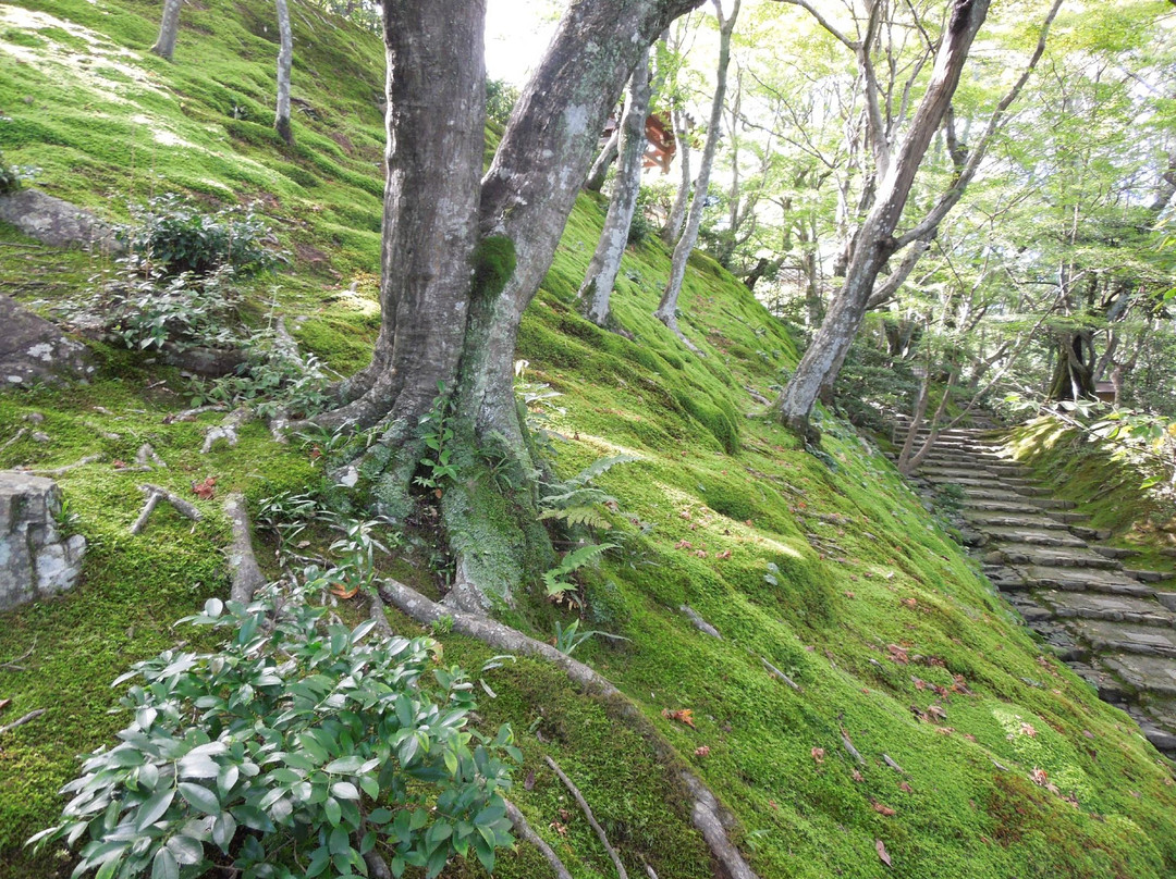常寂光寺景点图片