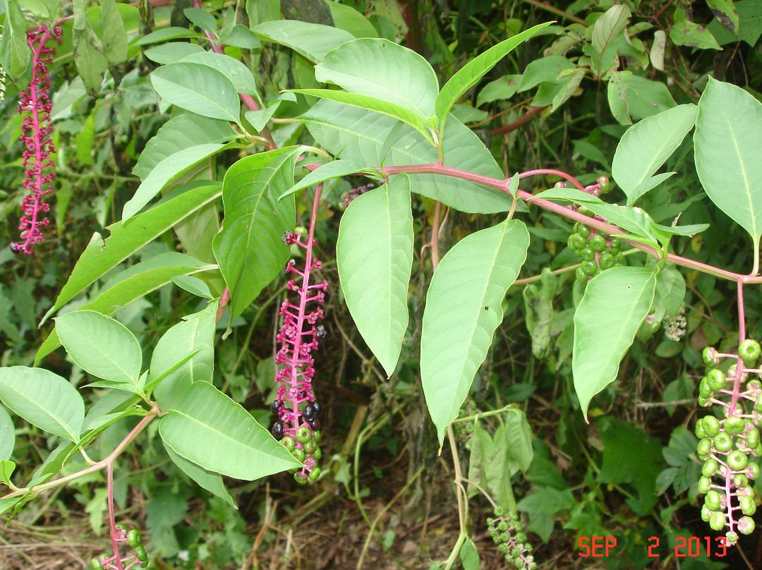Callahan State Park-弗雷明汉必去景点