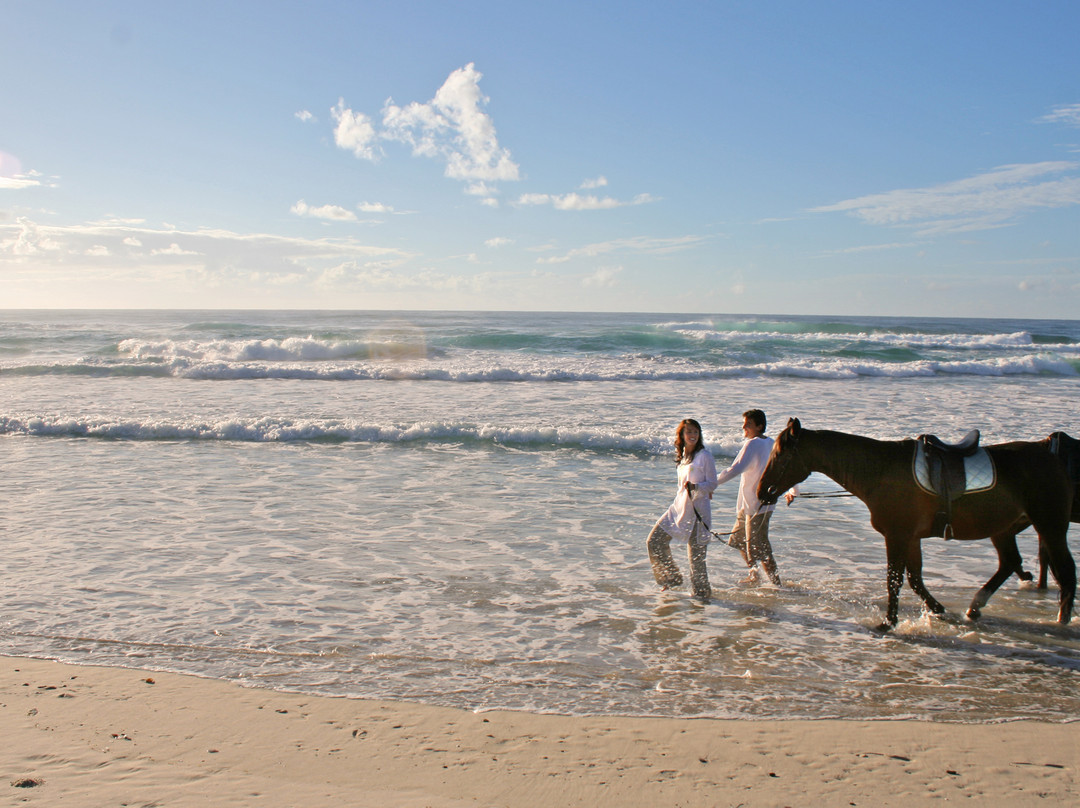 Tassiriki Ranch Beach Horse Riding & Holiday Cabins景点图片