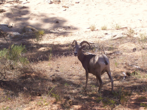 National Park Tourz-卡纳布必去景点