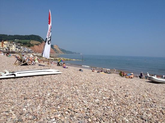 Jurassic Paddle Sports-西德茅斯必去景点