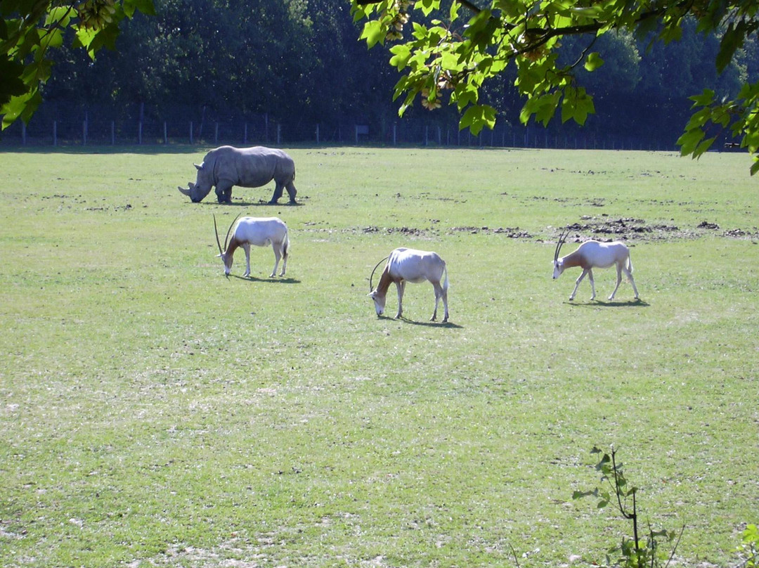 Parc Zoologique Cerza景点图片