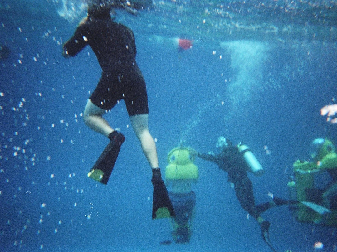 Island WaterSports Hawaii-火奴鲁鲁必去景点