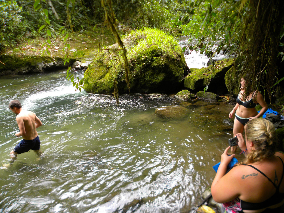 Las Tangaras Reserve (Reserva las Tangaras)-明多必去景点
