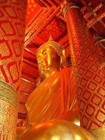 Wat Phanan Choeng Worawihan-大城必去景点