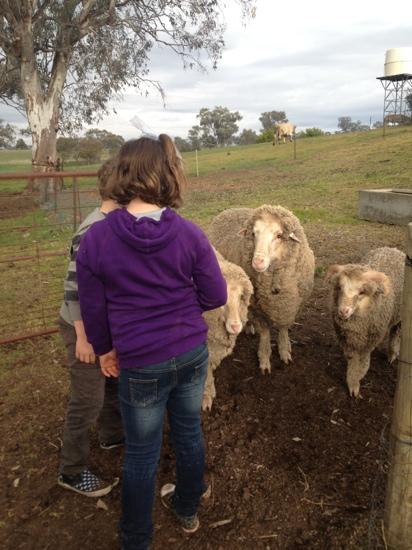 Banderra Bed & Breakfast-客卧