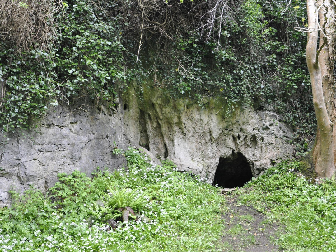 Catsby Cave-Ballyshannon必去景点