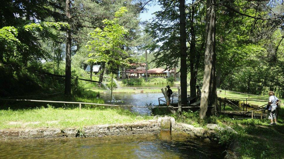 Bansko Safari-班斯克必去景点
