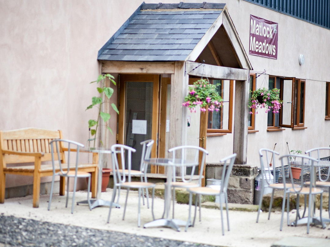 Matlock Meadows IceCream Parlour & Coffee Shop景点图片