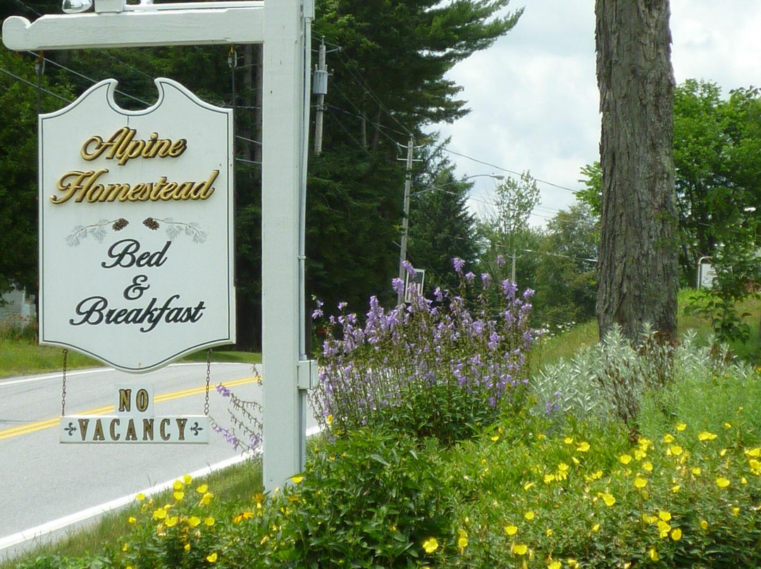 The Alpine Homestead主图