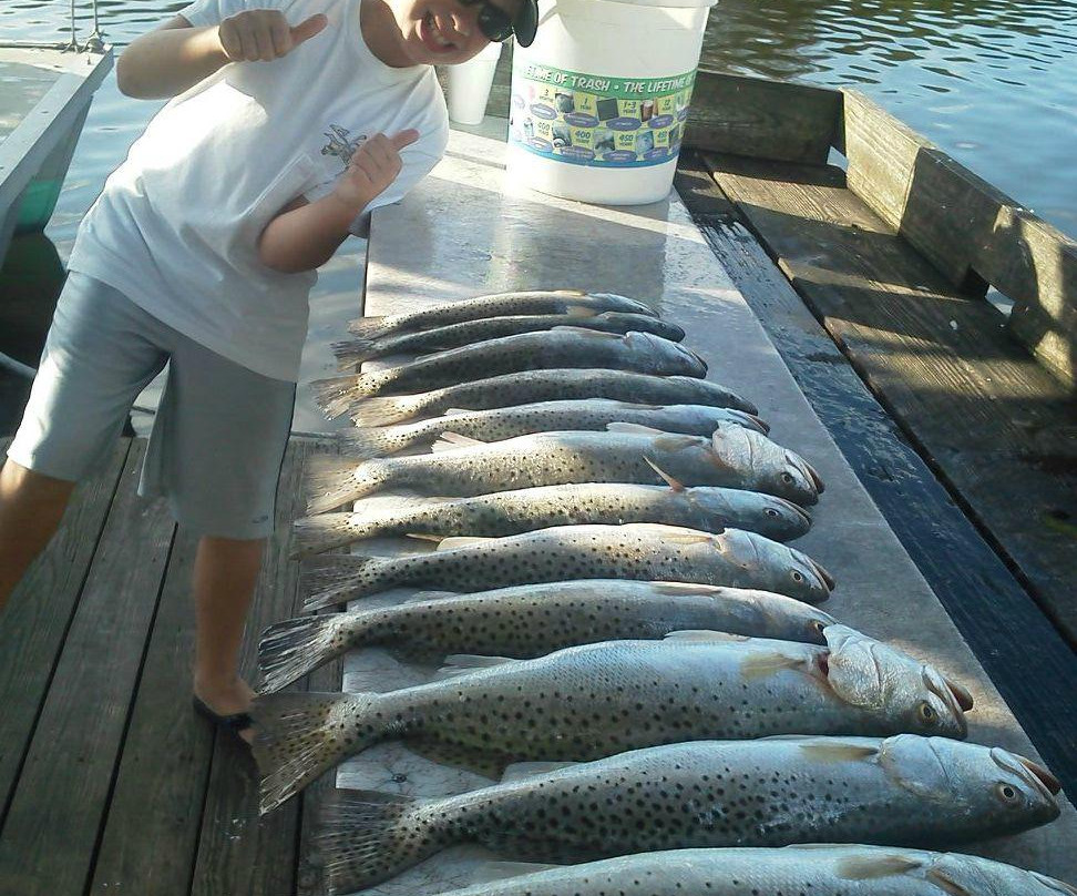 Grouper Hunter Flats Chance Charters-Homosassa必去景点