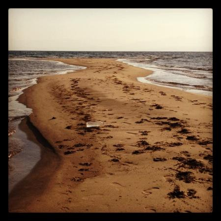 Bawaki Beach Camp主图